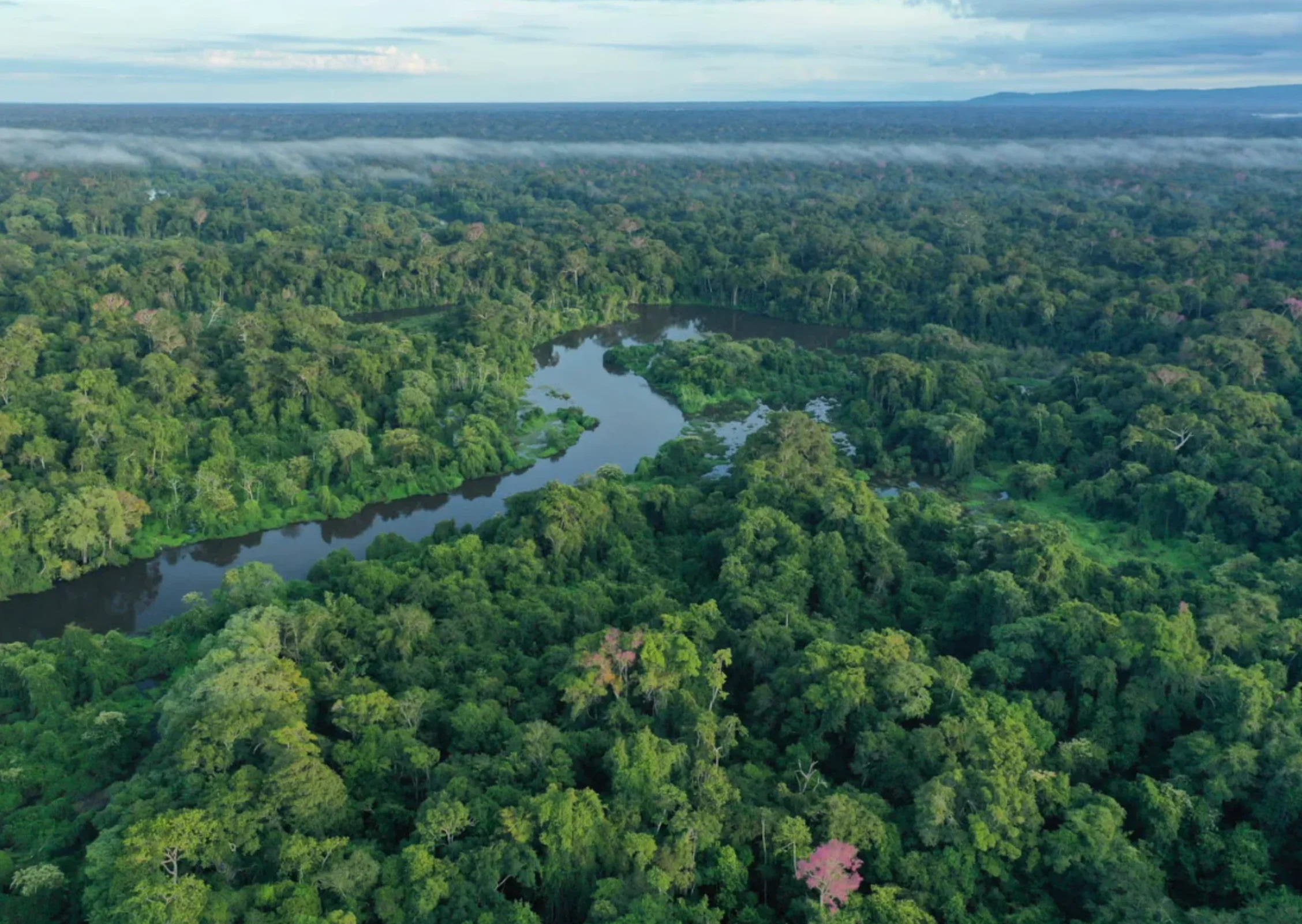 Katingan Mentaya