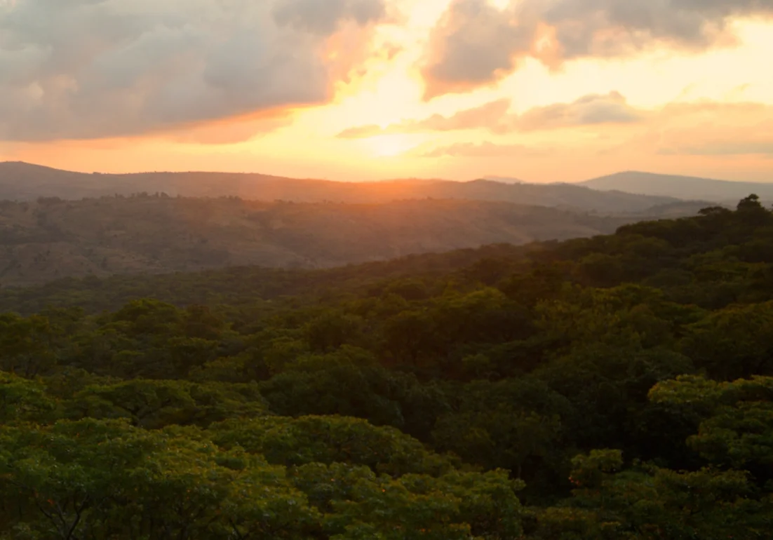 Kulera Landscape