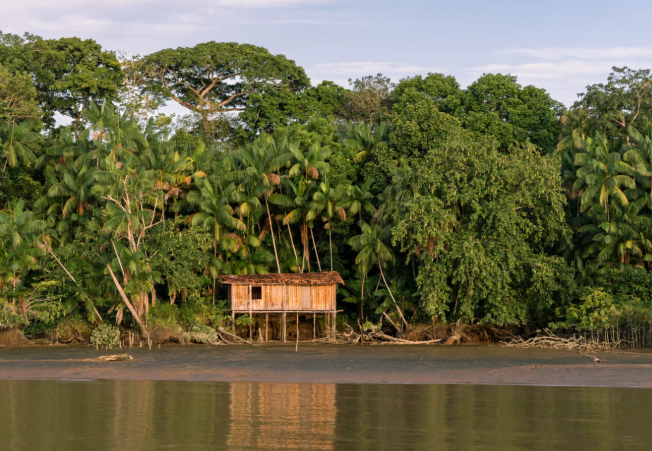 Rio Anapu-Pacaja